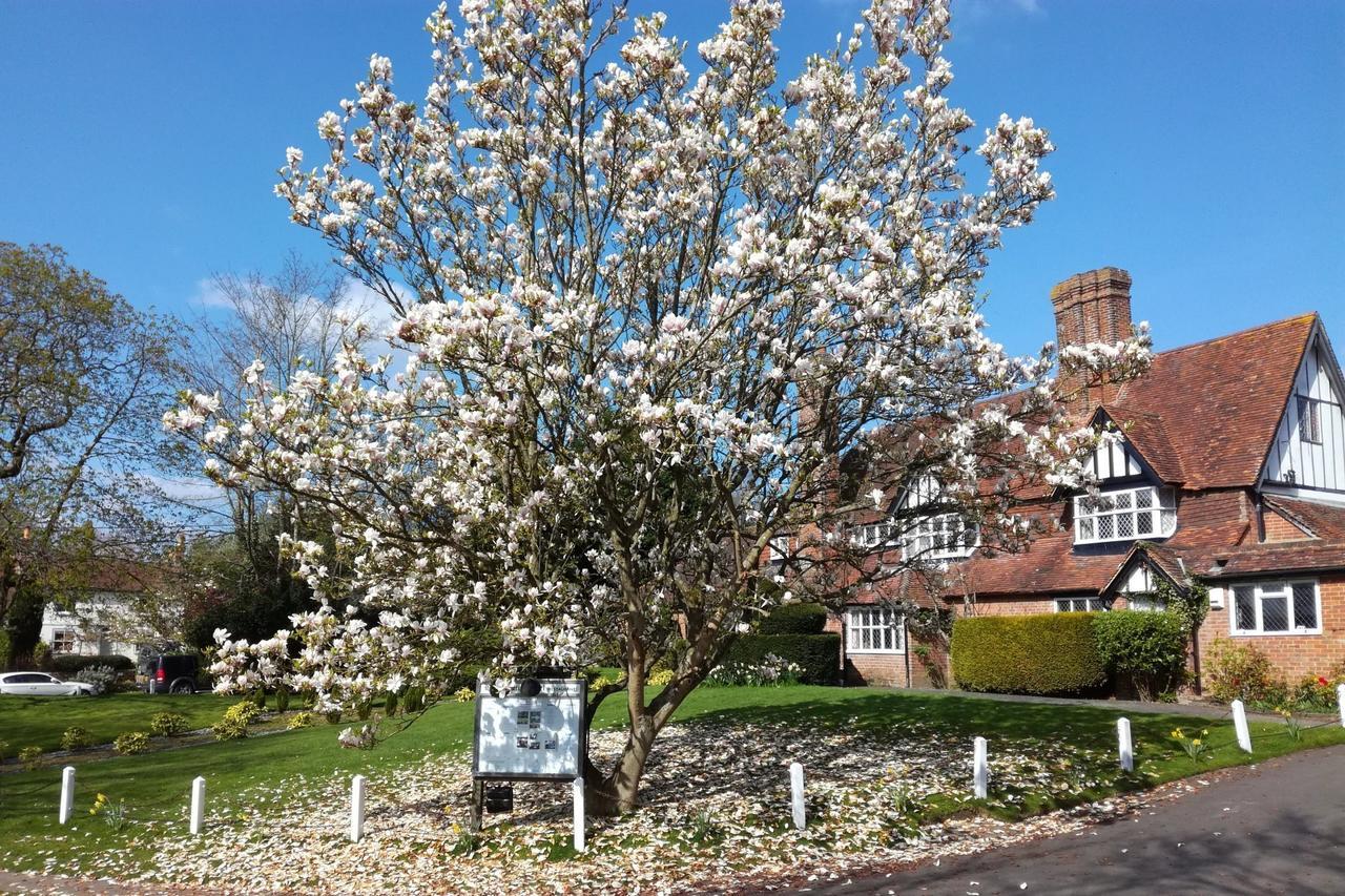 The Brickwall Hotel Sedlescombe Buitenkant foto
