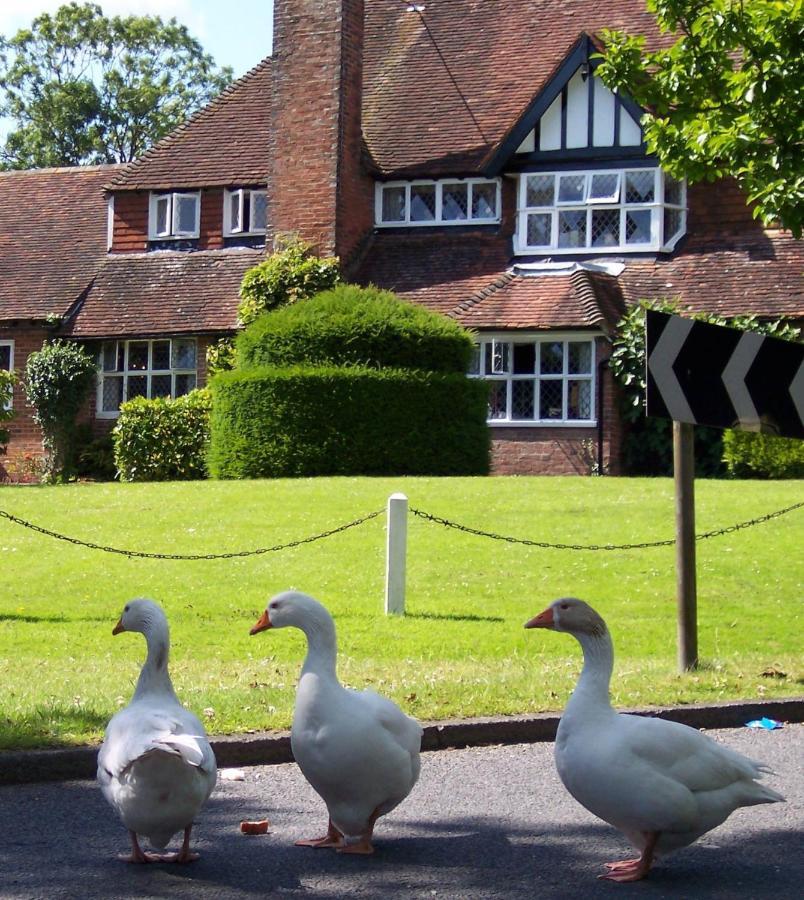 The Brickwall Hotel Sedlescombe Buitenkant foto